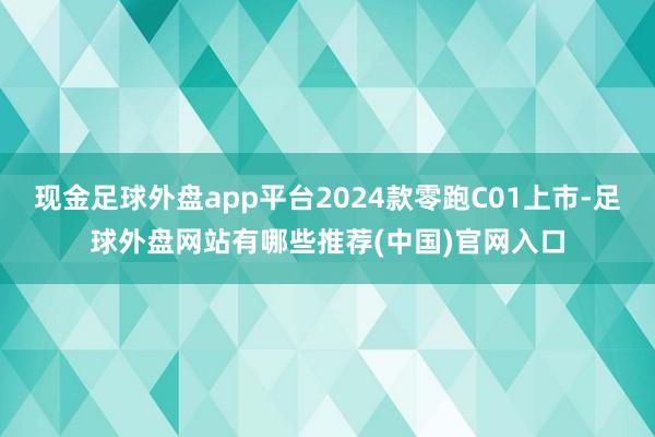 现金足球外盘app平台2024款零跑C01上市-足球外盘网站有哪些推荐(中国)官网入口