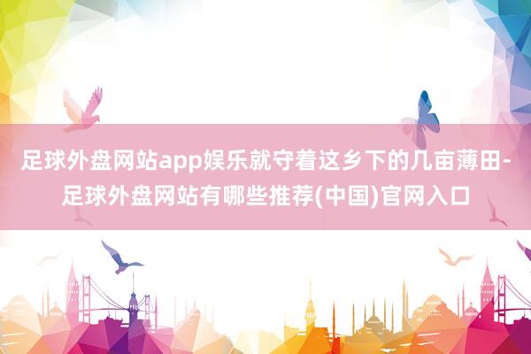 足球外盘网站app娱乐就守着这乡下的几亩薄田-足球外盘网站有哪些推荐(中国)官网入口