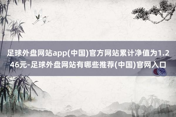 足球外盘网站app(中国)官方网站累计净值为1.246元-足球外盘网站有哪些推荐(中国)官网入口