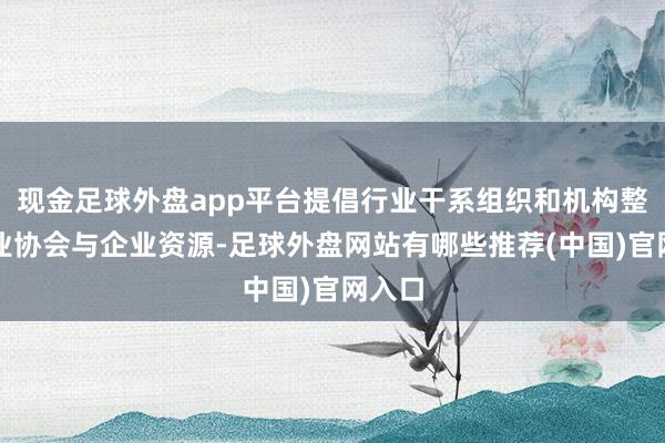 现金足球外盘app平台提倡行业干系组织和机构整合行业协会与企业资源-足球外盘网站有哪些推荐(中国)官网入口