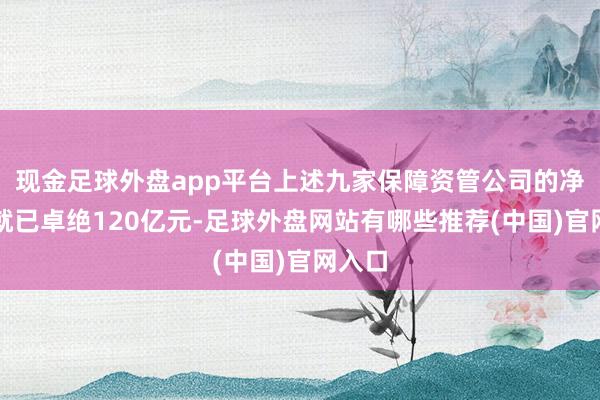 现金足球外盘app平台上述九家保障资管公司的净利润就已卓绝120亿元-足球外盘网站有哪些推荐(中国)官网入口